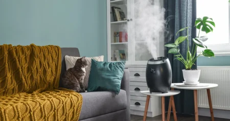 The Benefits of Humidifiers: Improving Indoor Air Quality and Health