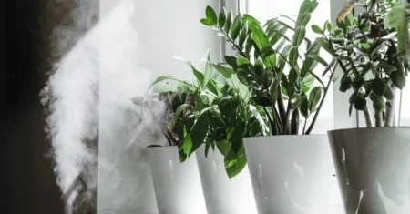 Smart Humidifiers: The Latest Technology for Comfort